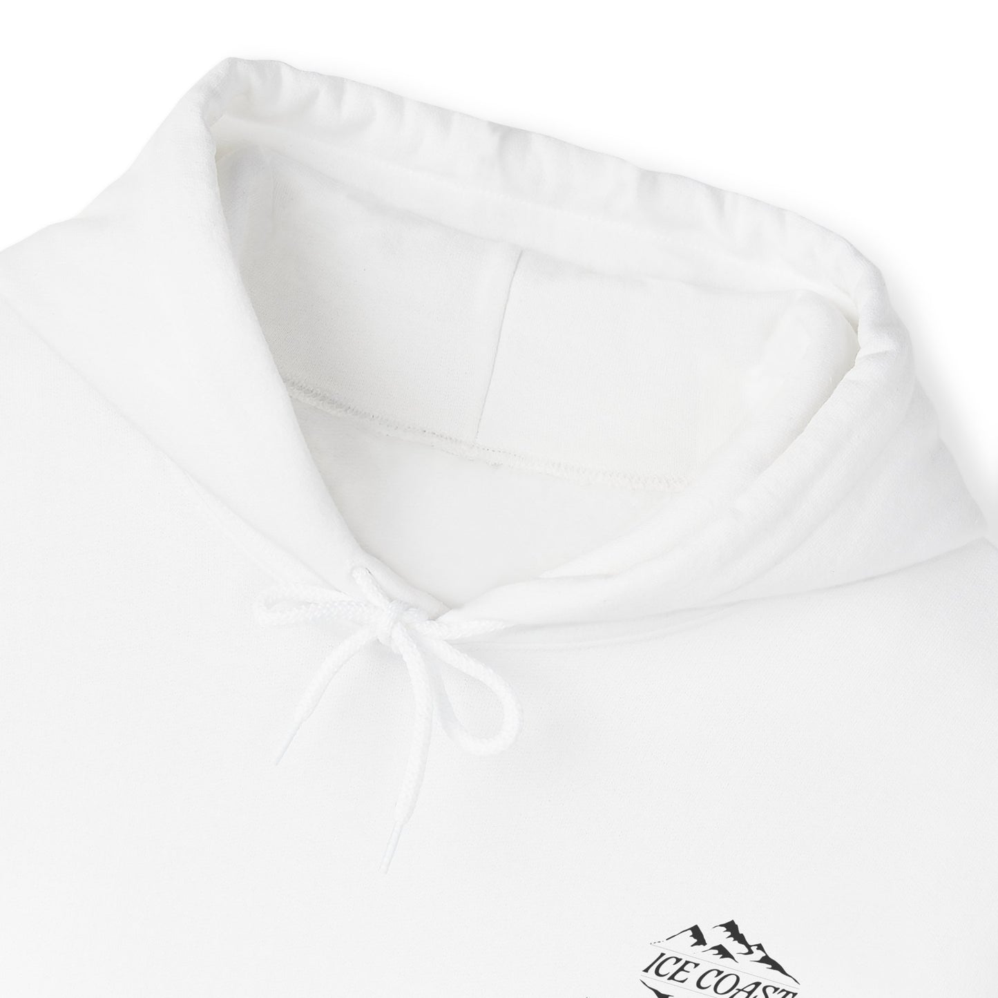 "Zero Gravity" ICE COAST Hoodie
