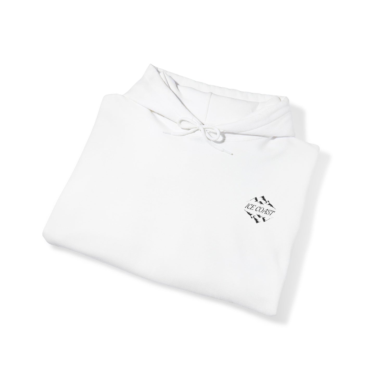 "Zero Gravity" ICE COAST Hoodie
